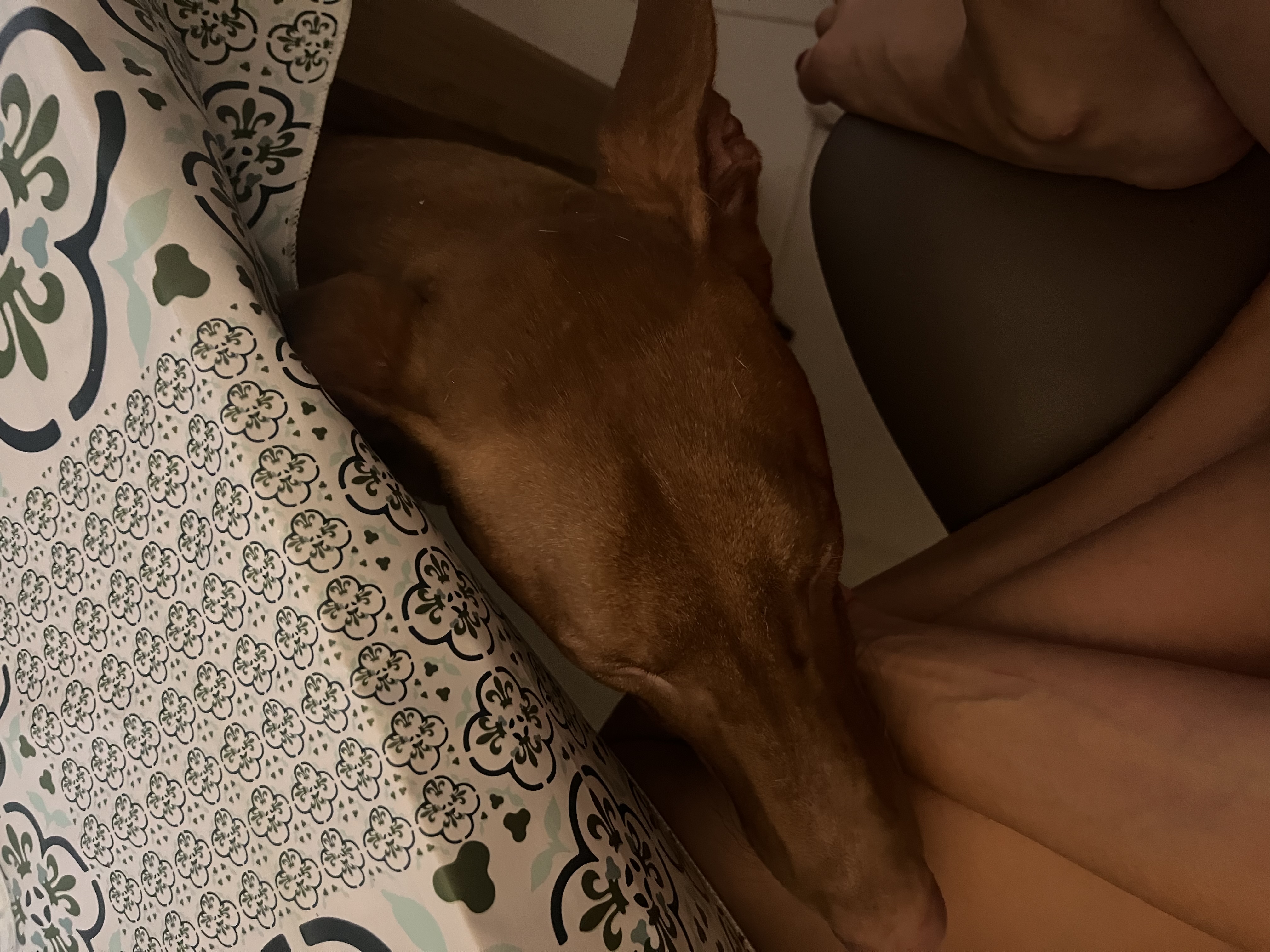 image-7