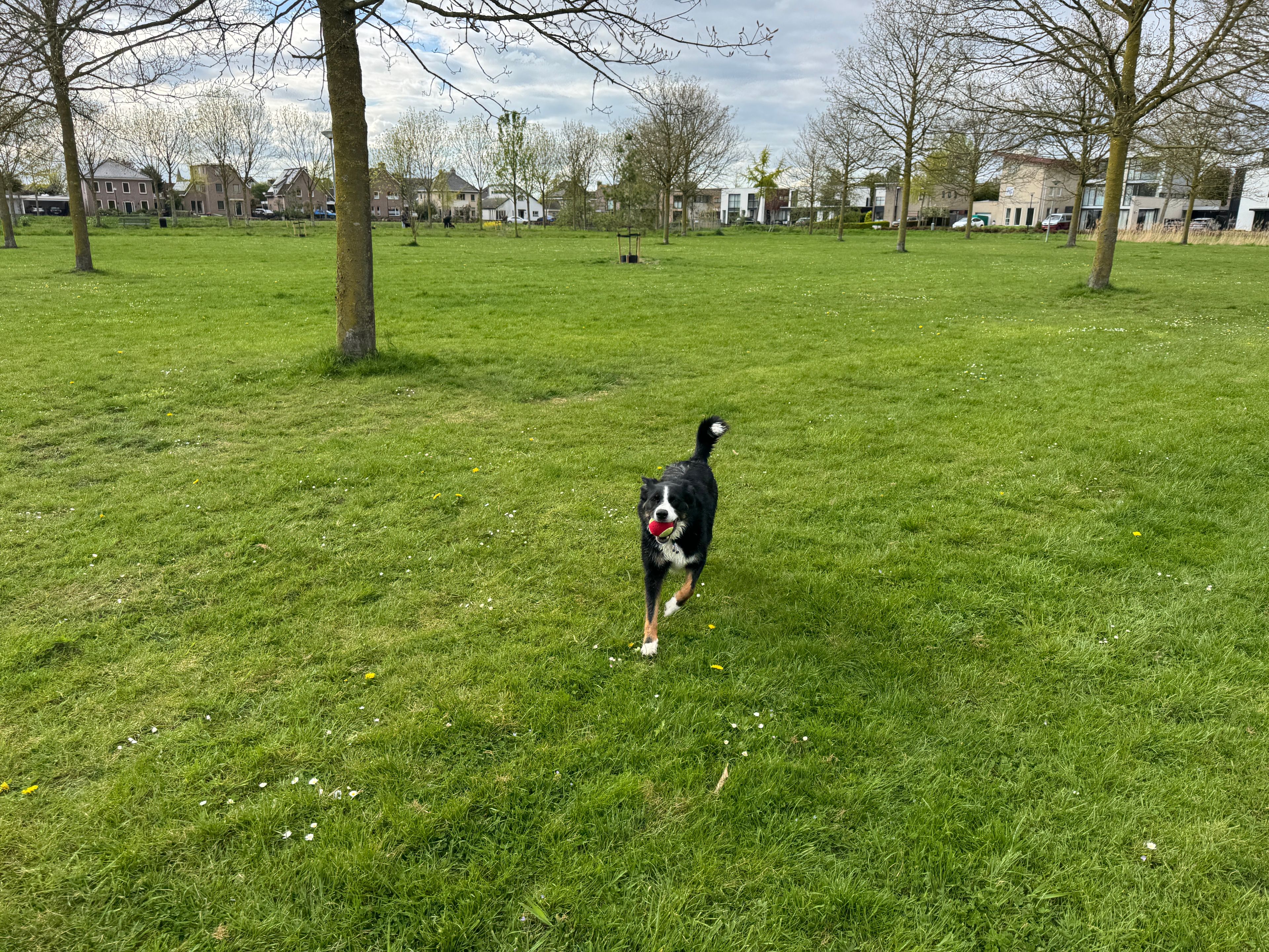 image-15