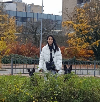 image-13