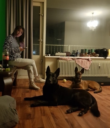image-14