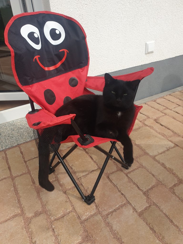 Mucki