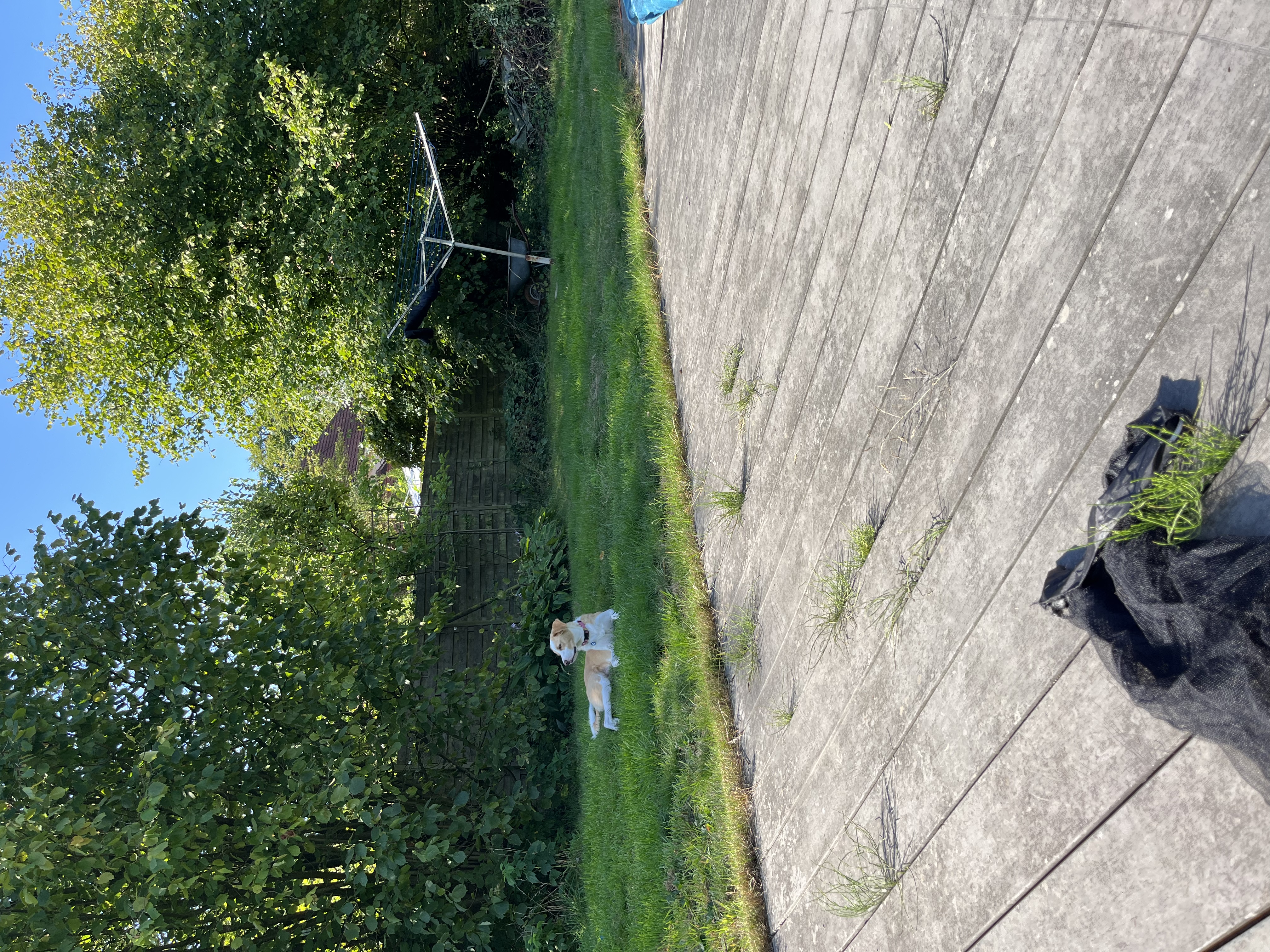 image-17
