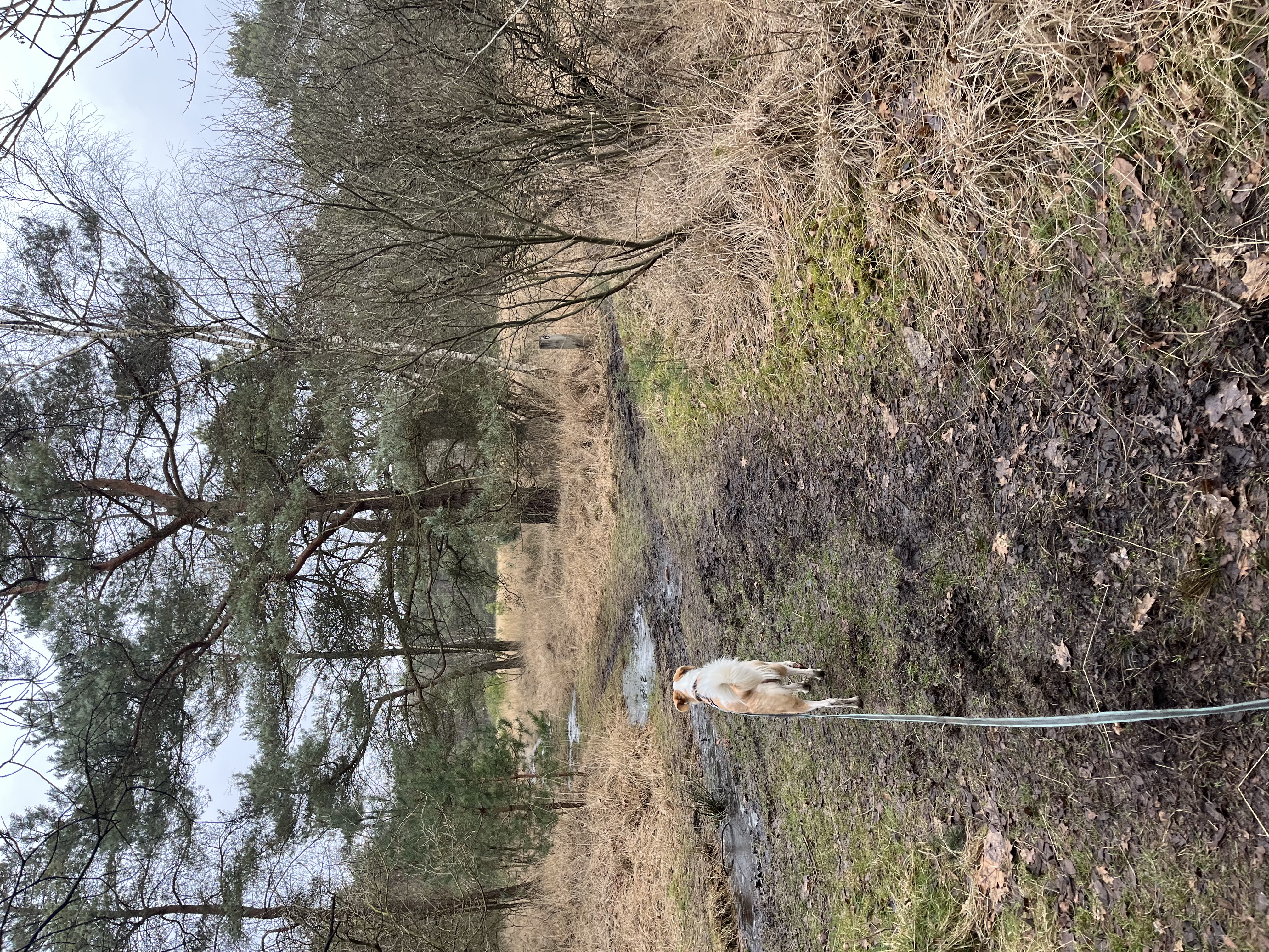 image-16