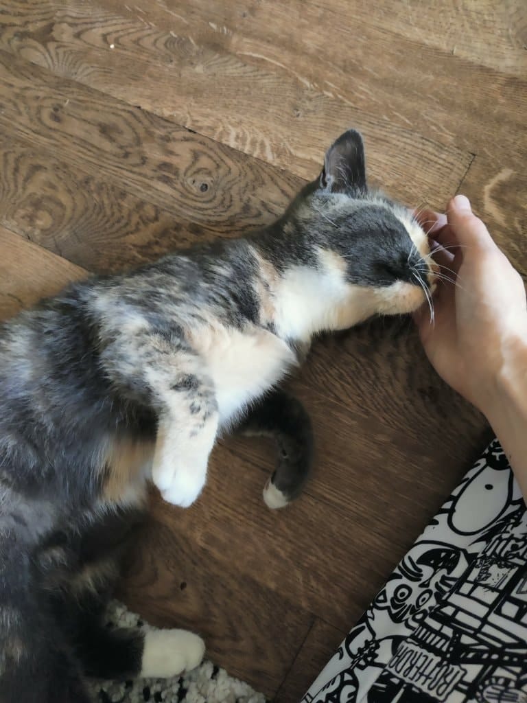 image-9