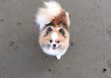 Bonnie