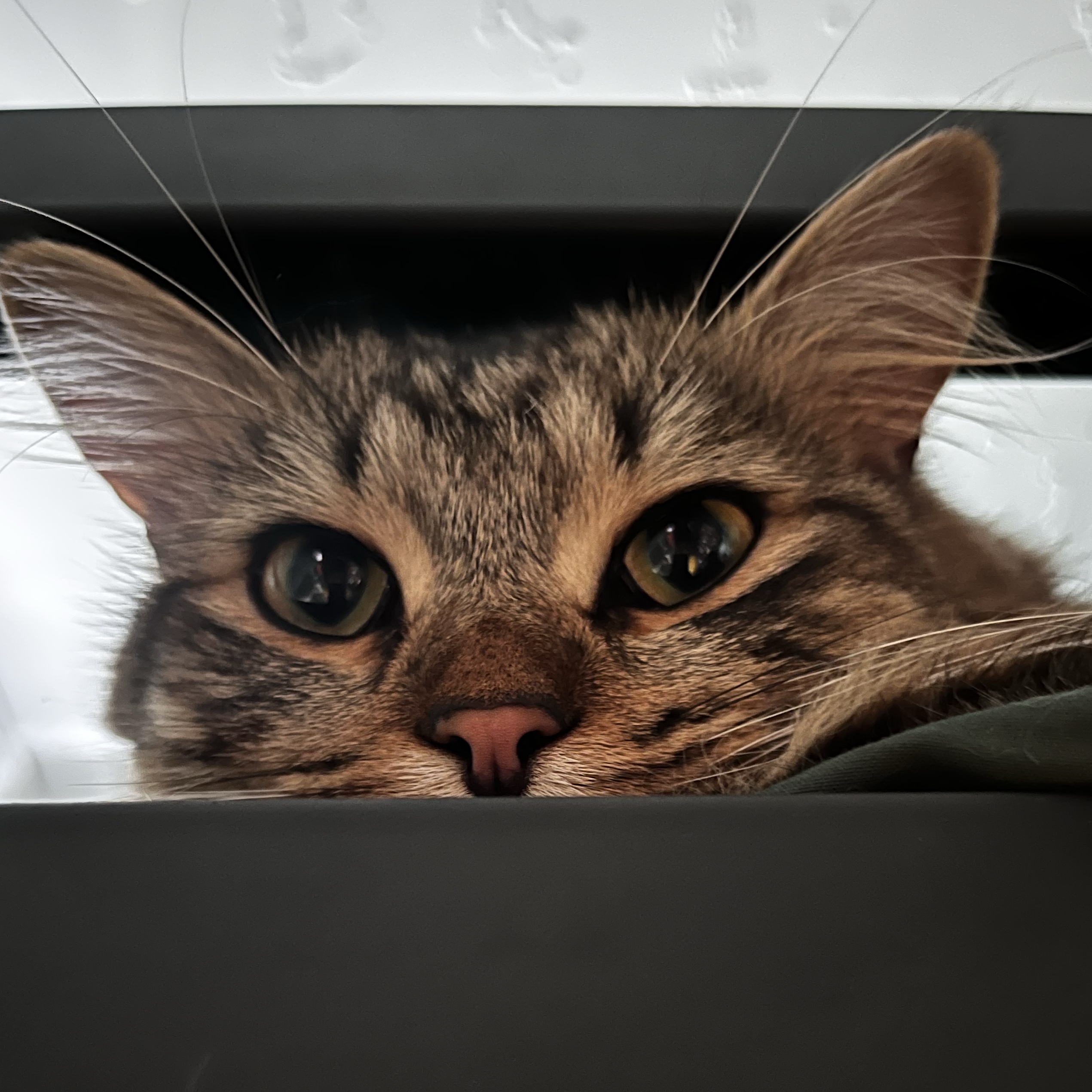 Dudu AKA ‘The Dude’