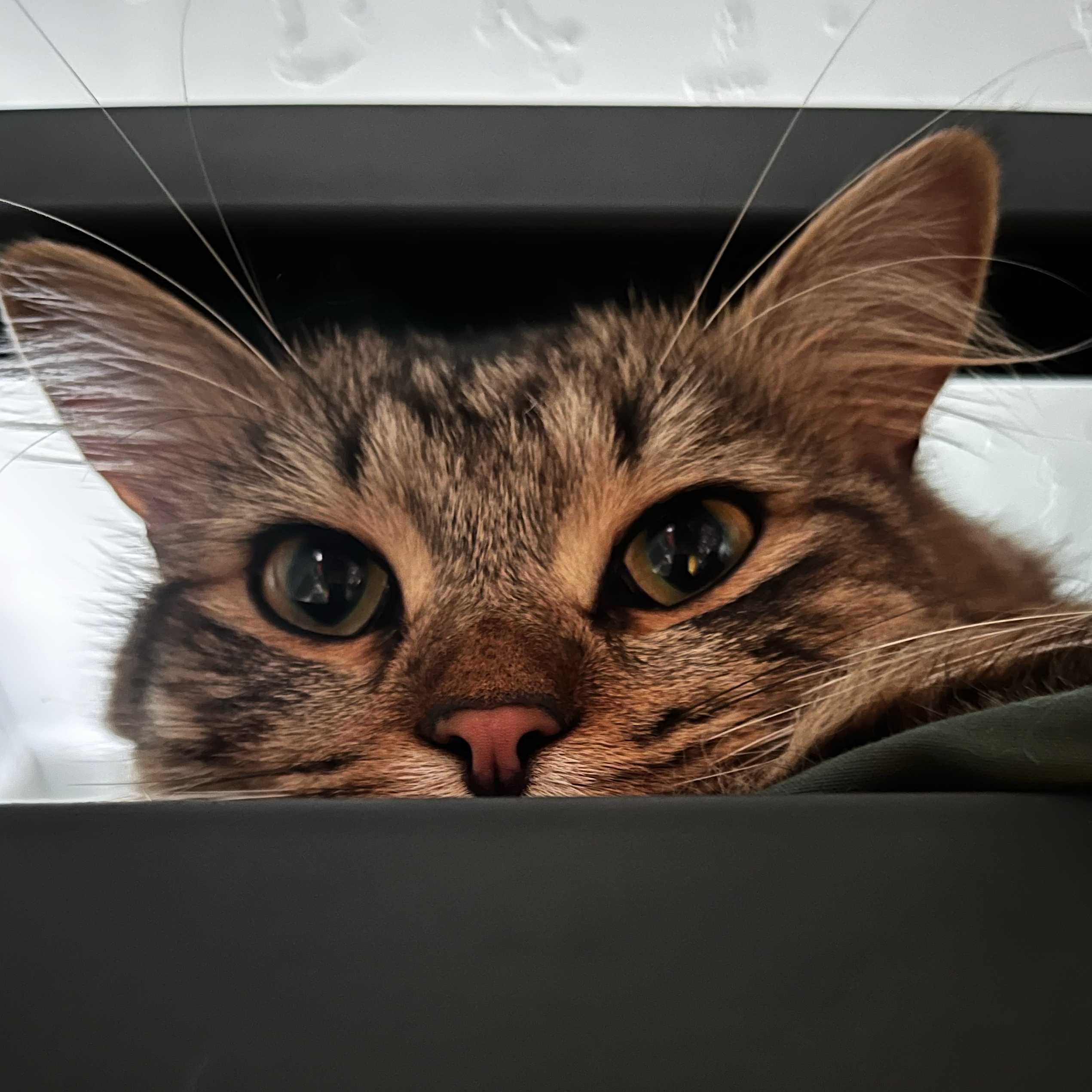 Dudu AKA ‘The Dude’