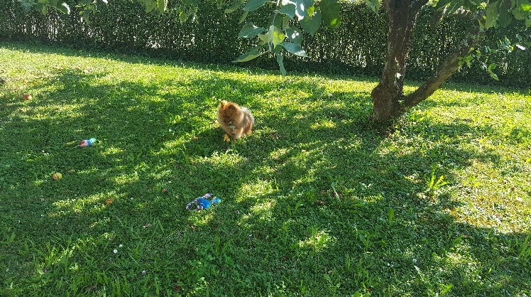 image-1