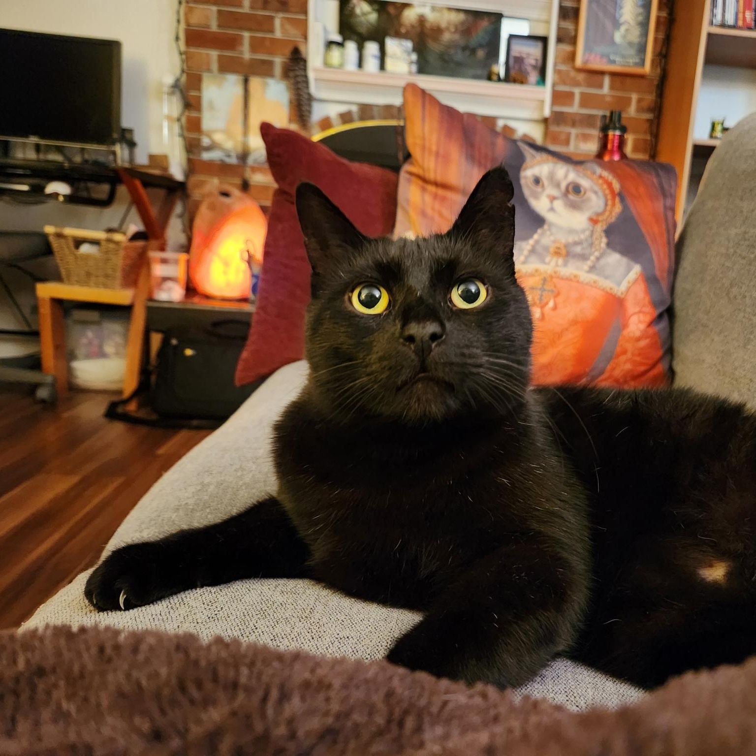 Sirius