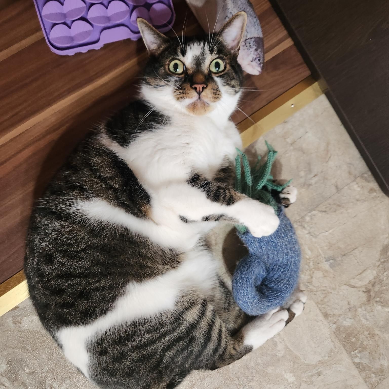 Merlin