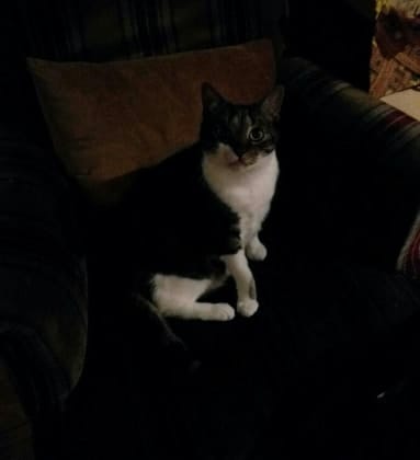 image-16