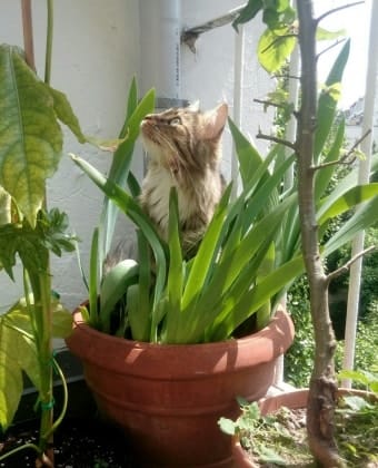image-13