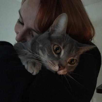 image-7