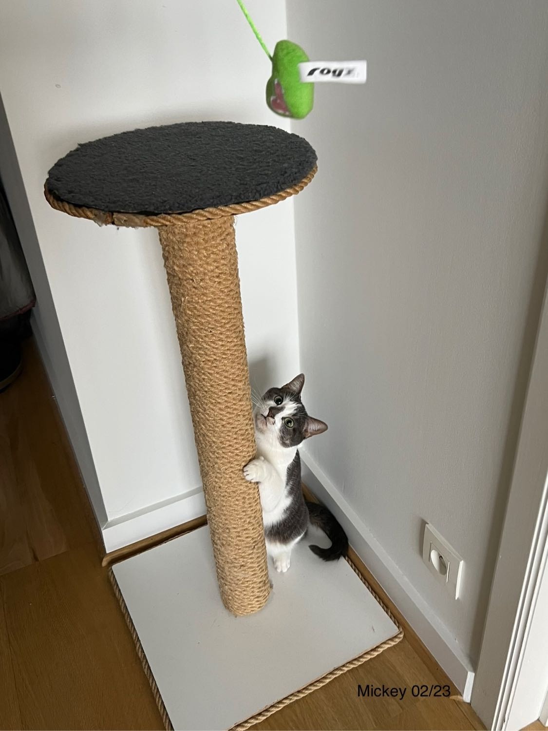 image-6