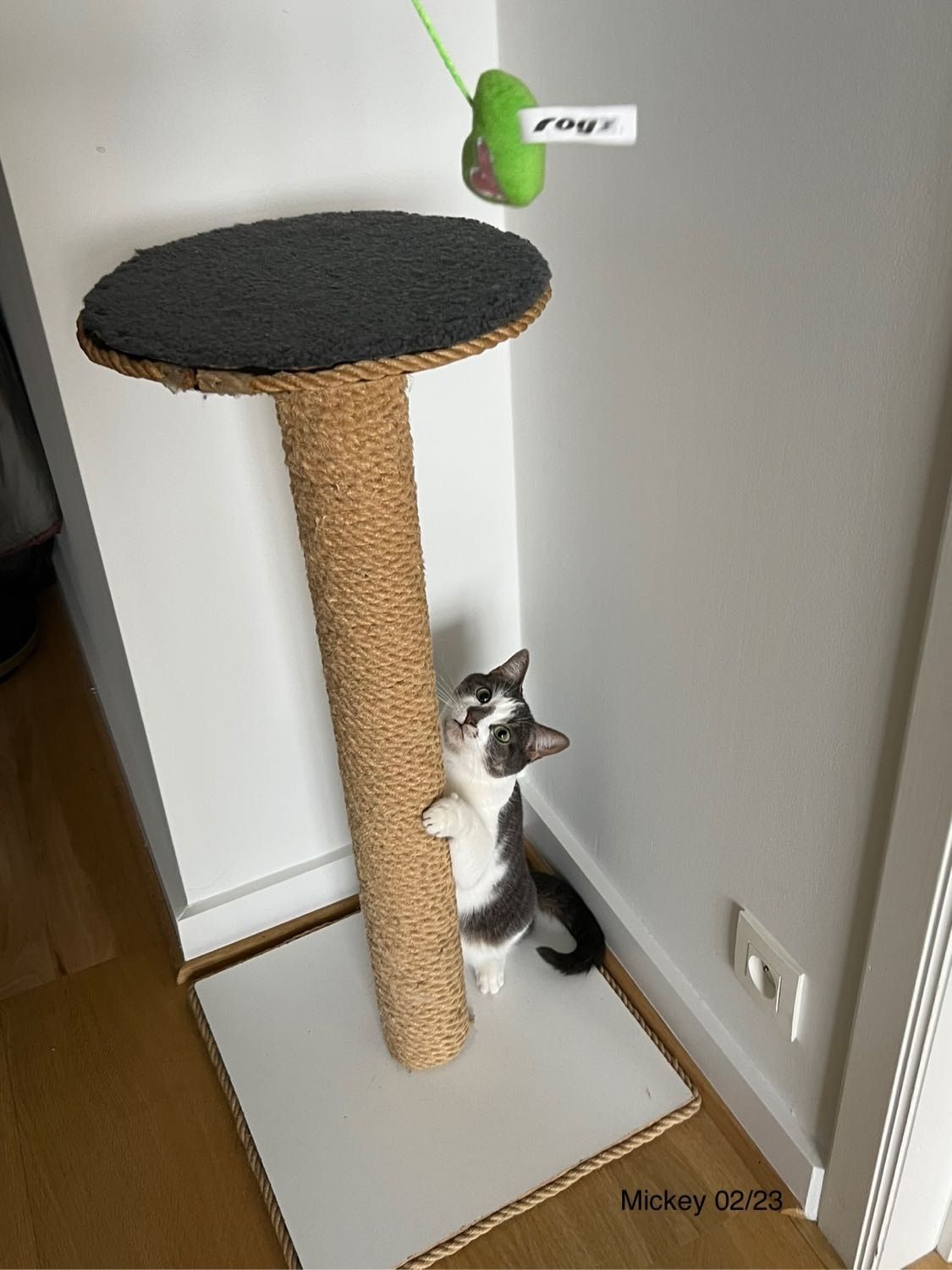 image-6
