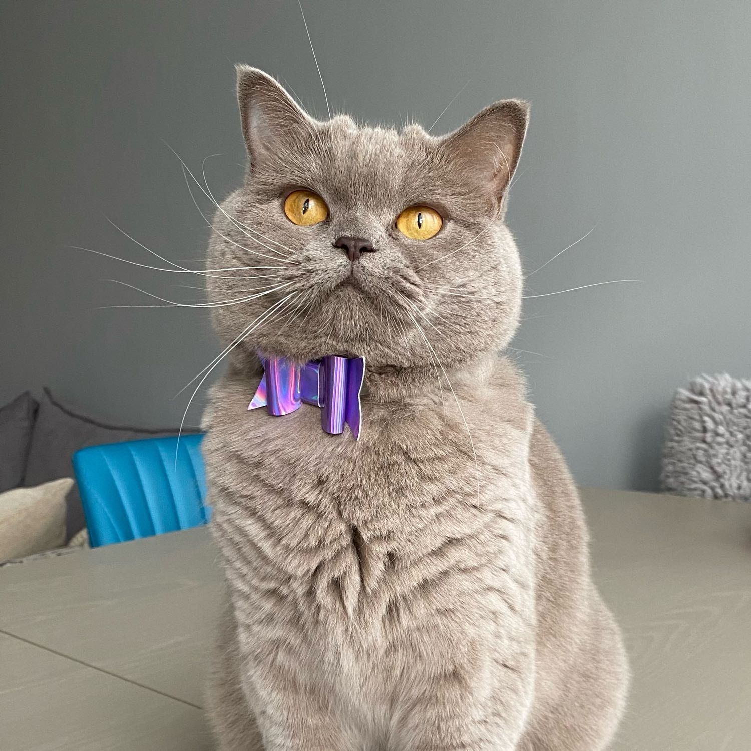 Lila