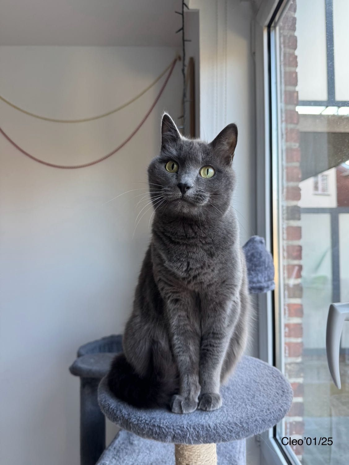 image-20