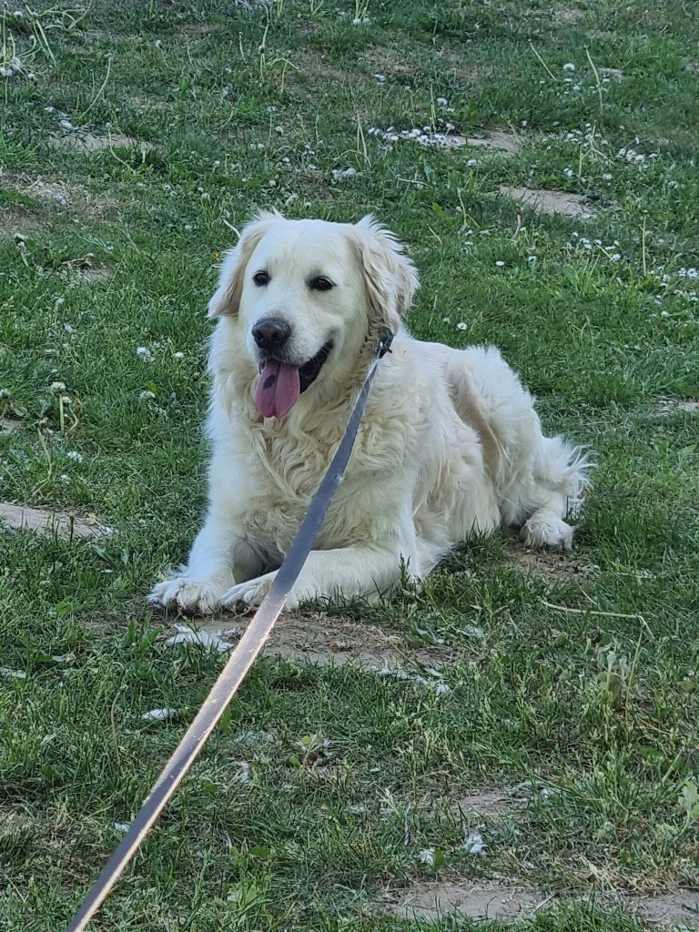 Casper