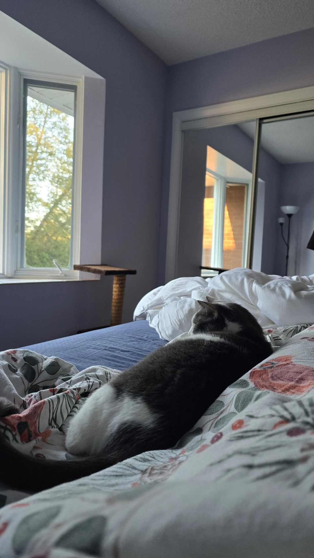 image-6