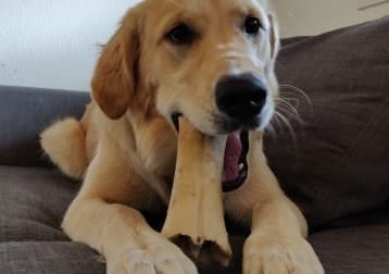Chili
