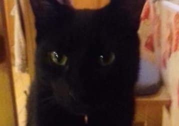 Binx