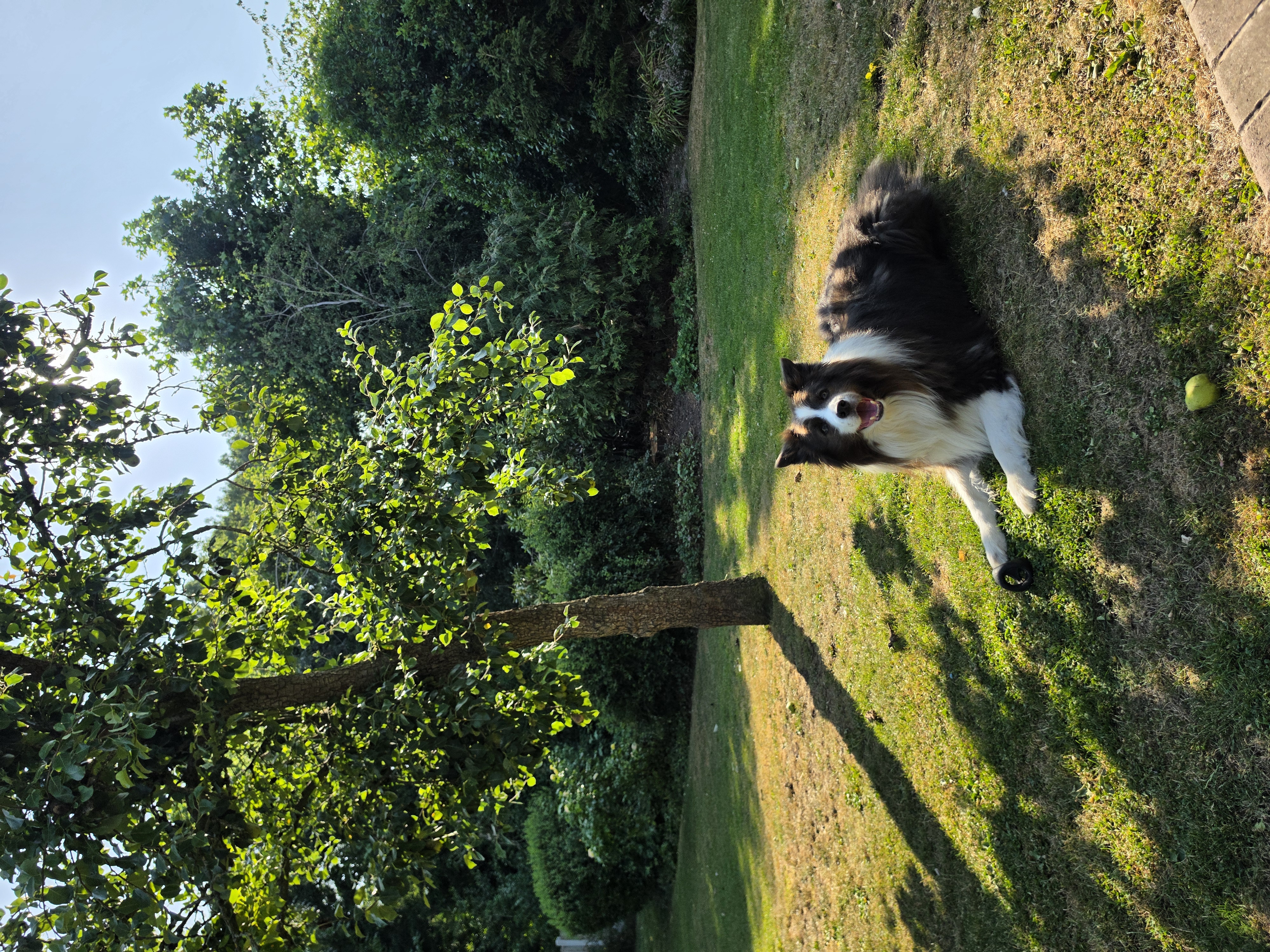 image-33