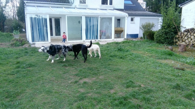 image-9