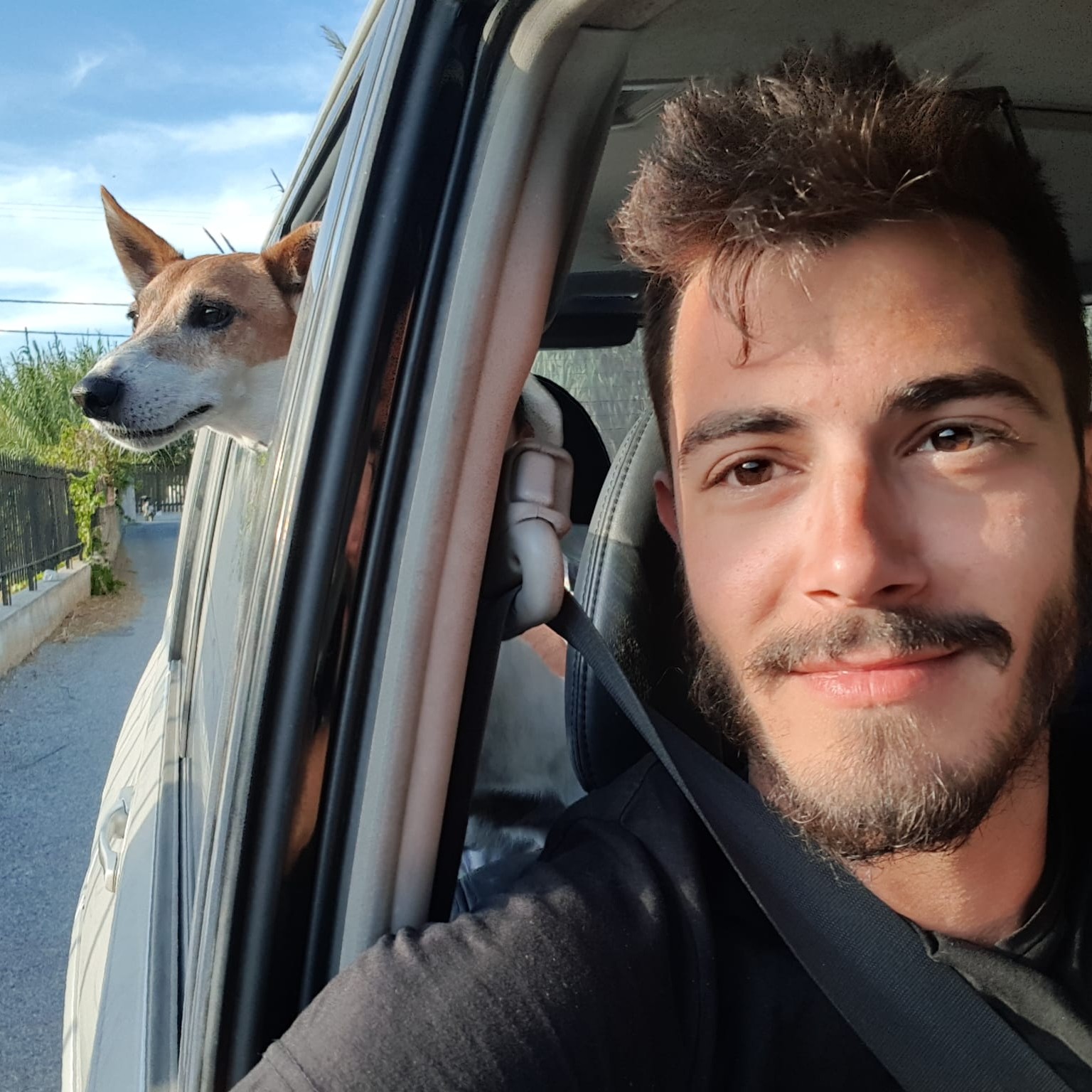 Alexis