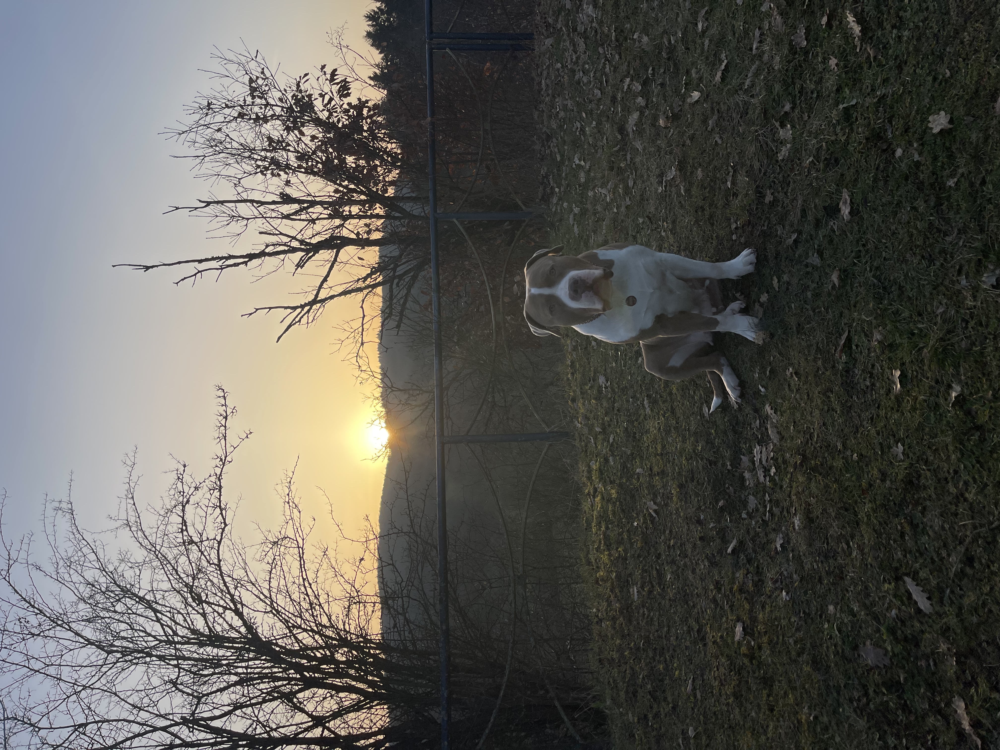 image-3