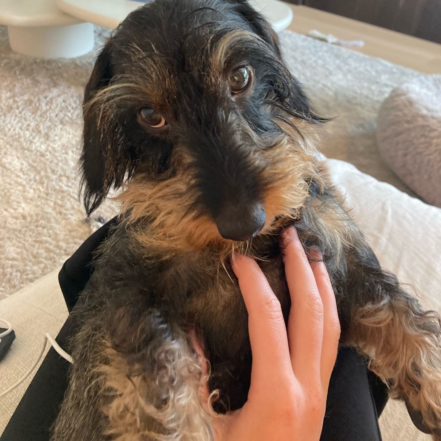 Oscar