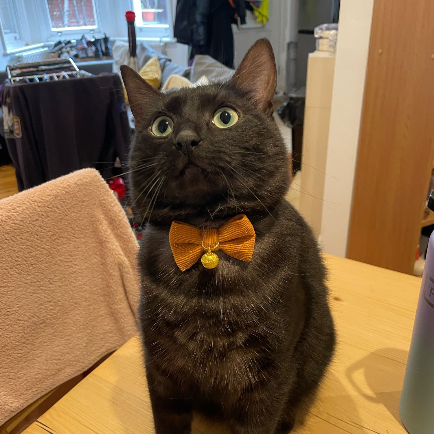 Salem