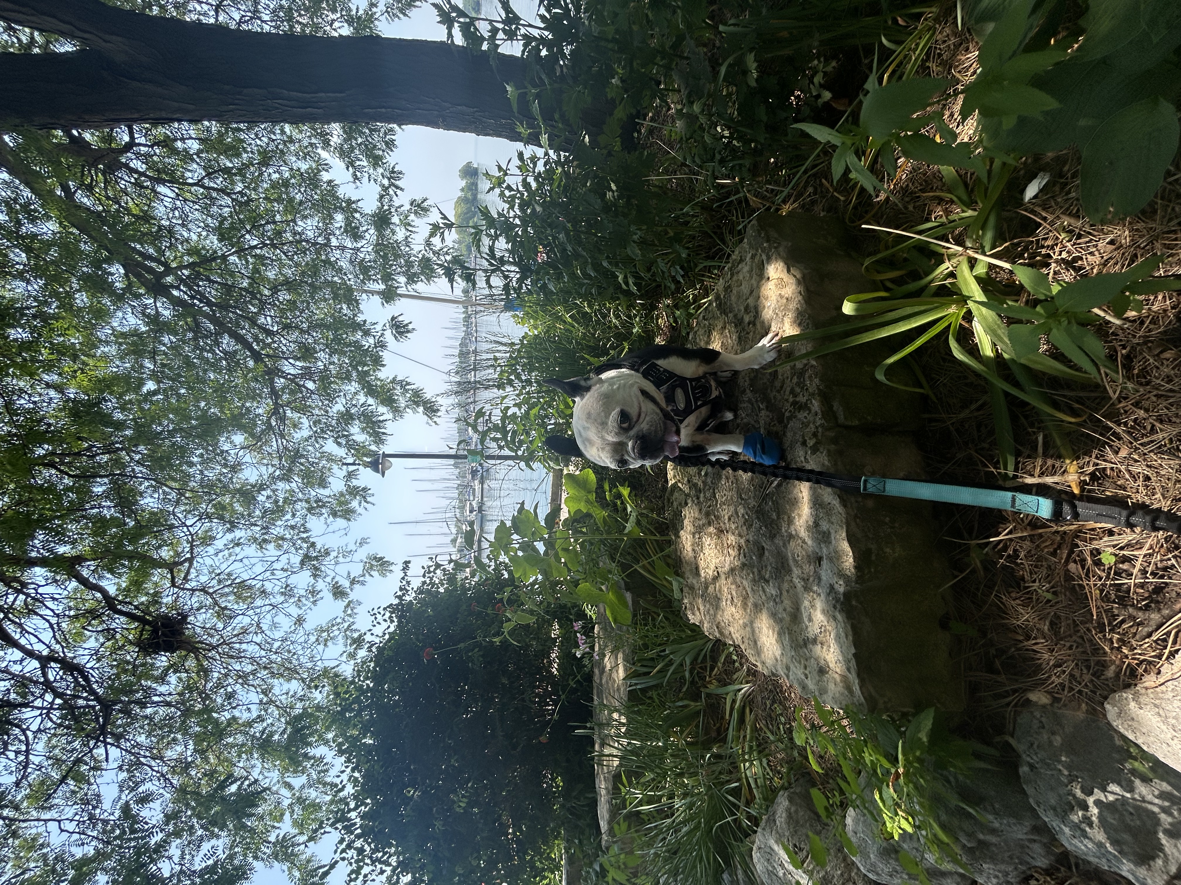 image-17