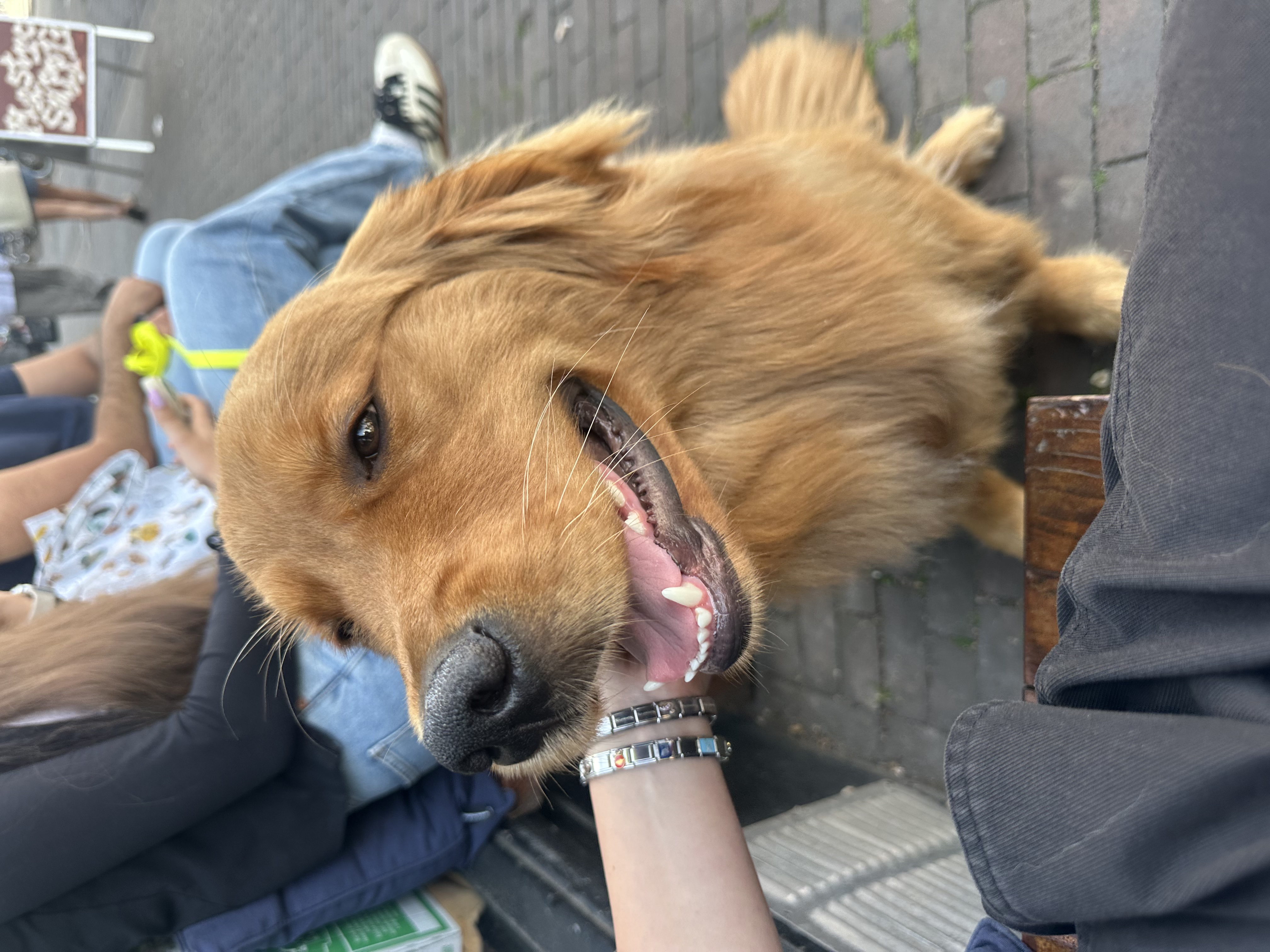 image-6