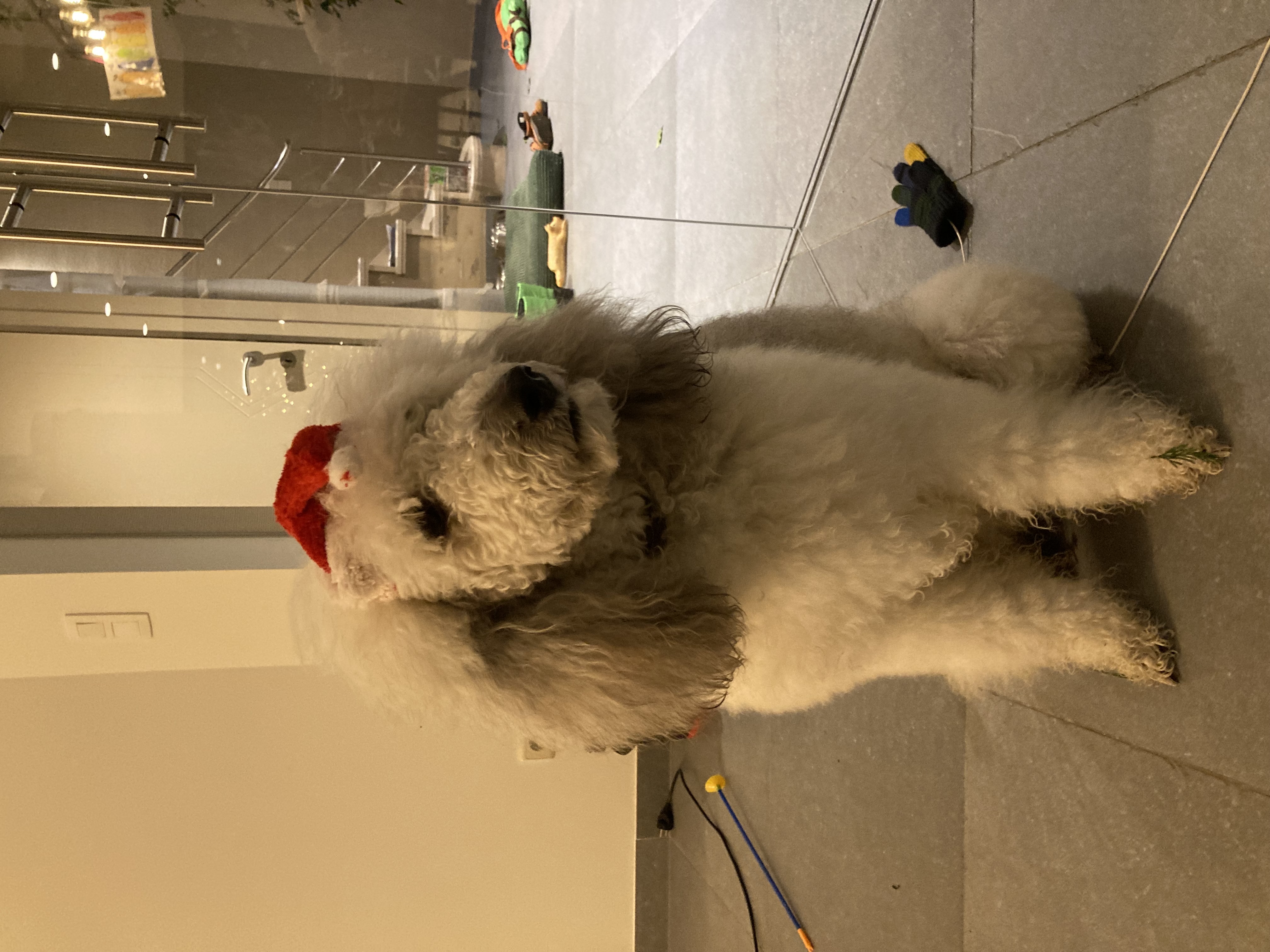 image-7