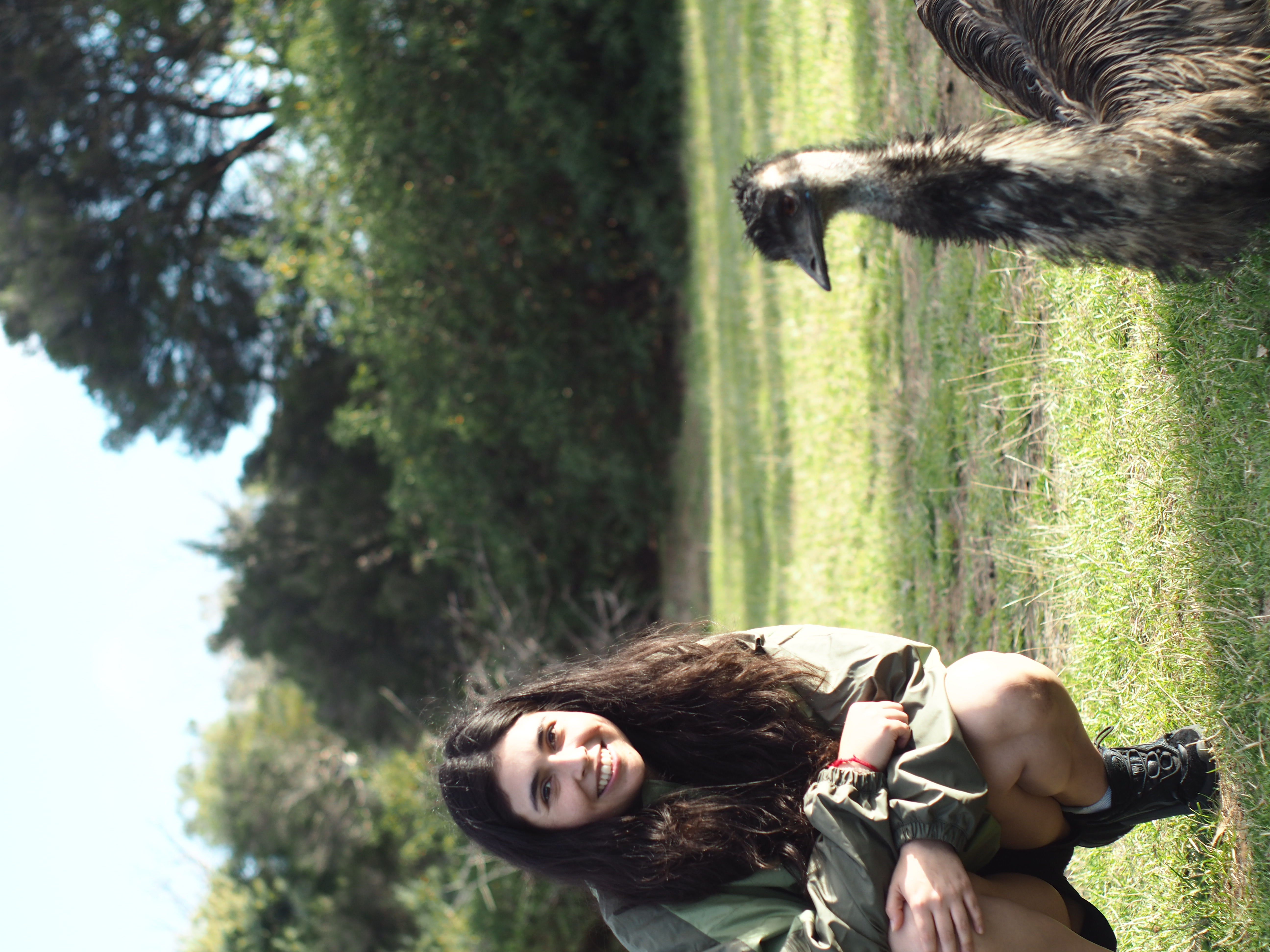image-7