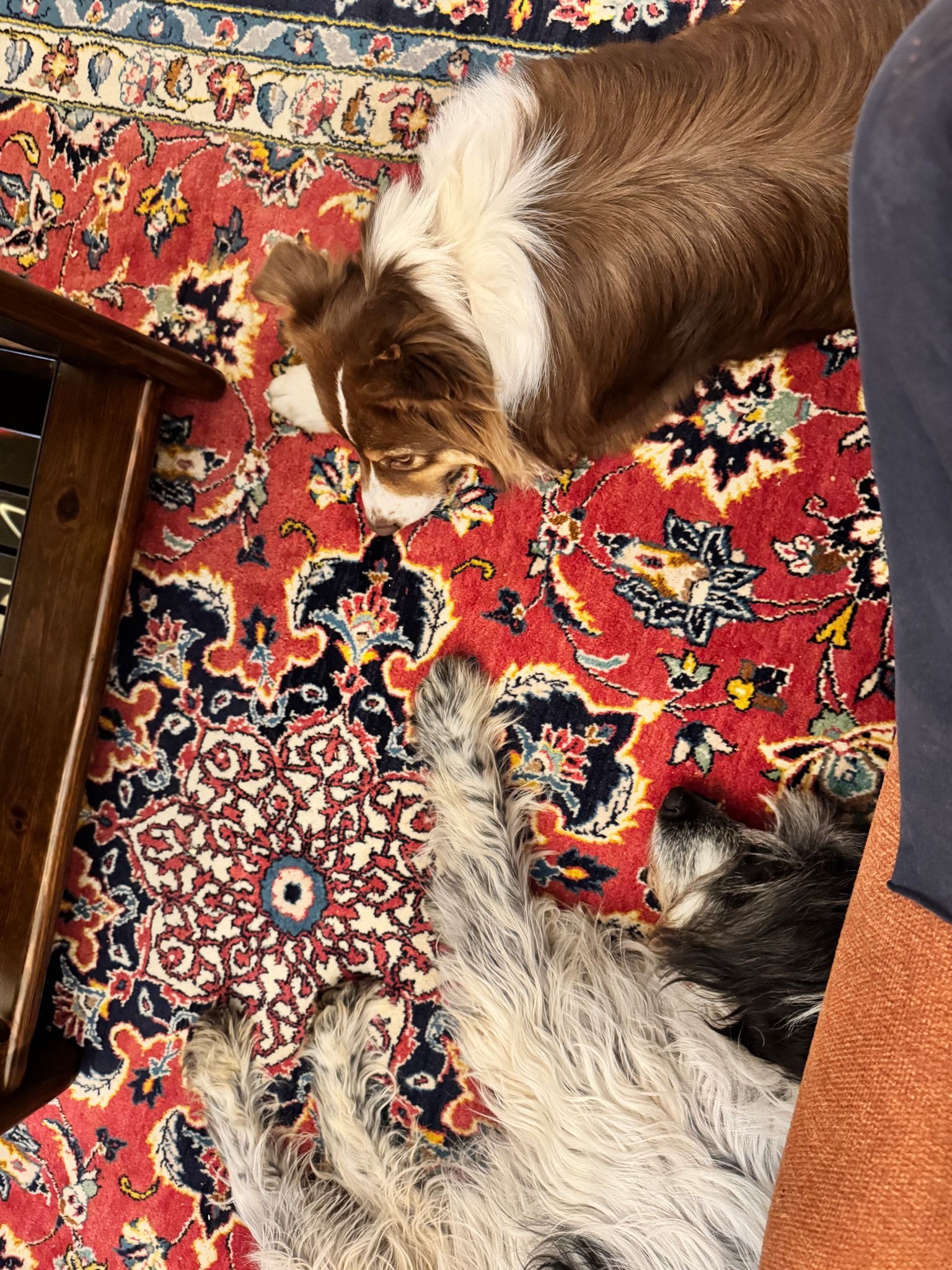 image-13