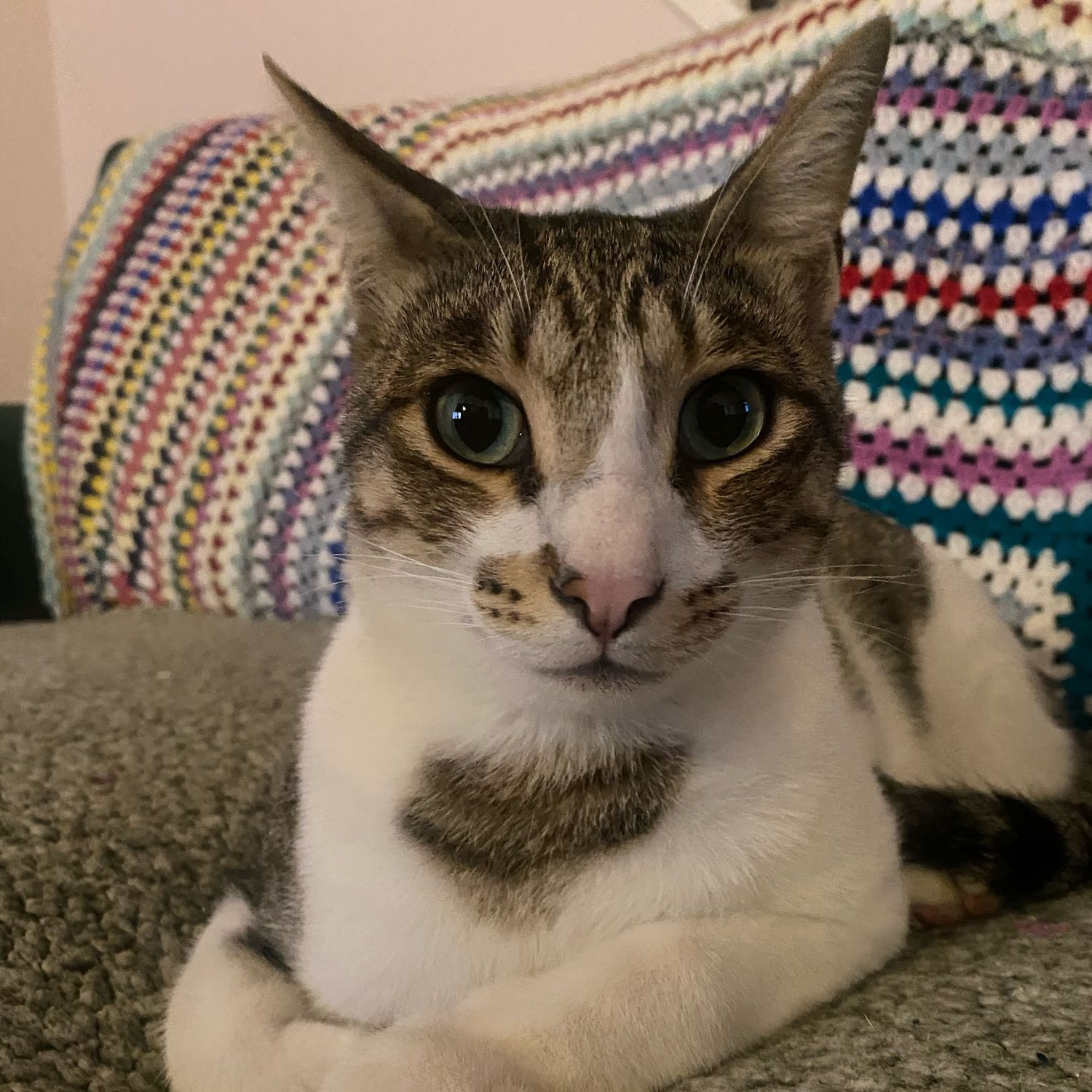 Otis 