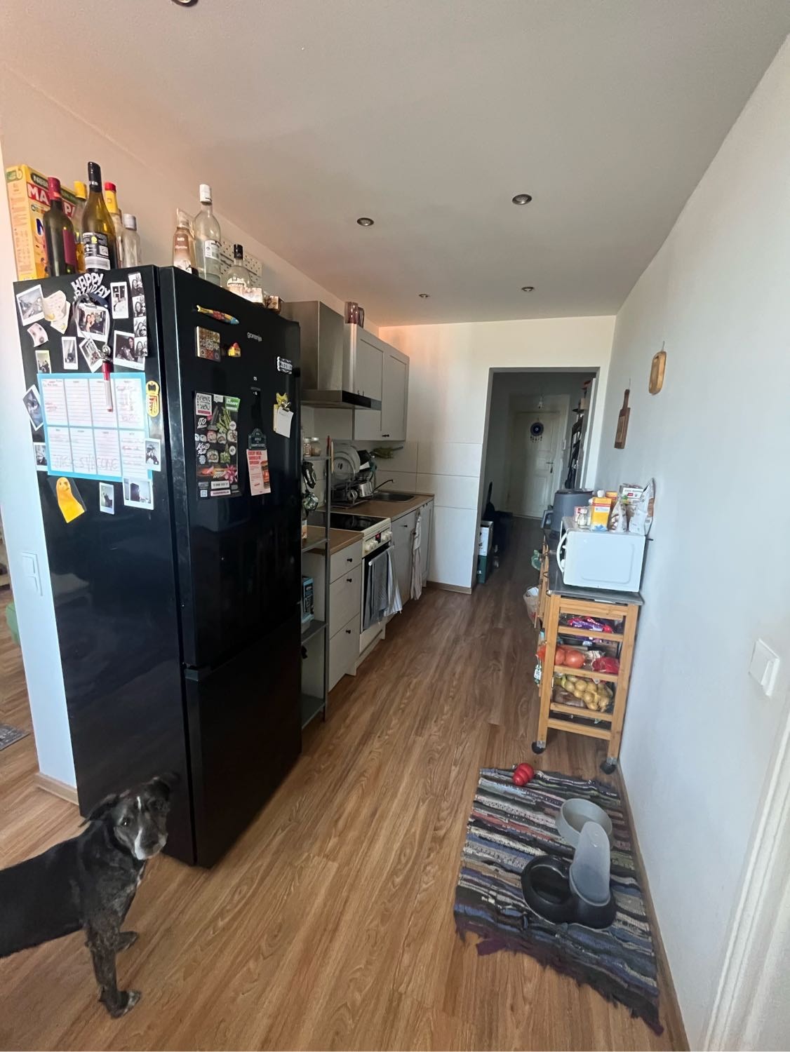 image-19