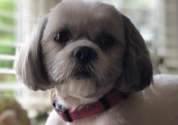 Betty