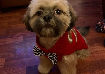 Bucky