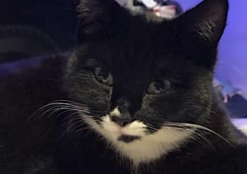 Winnie