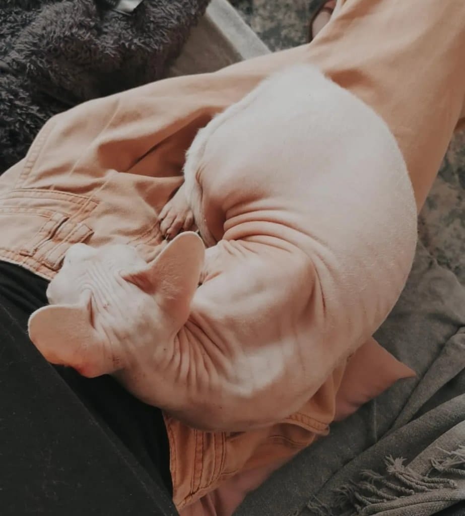 image-4