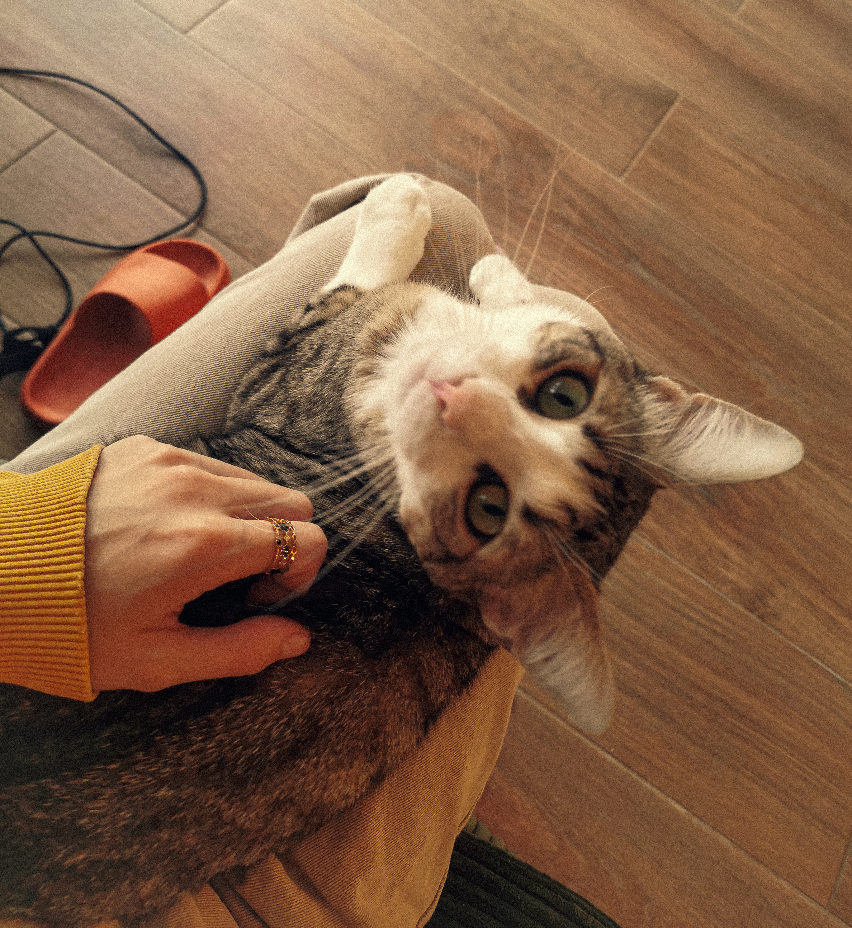 image-10
