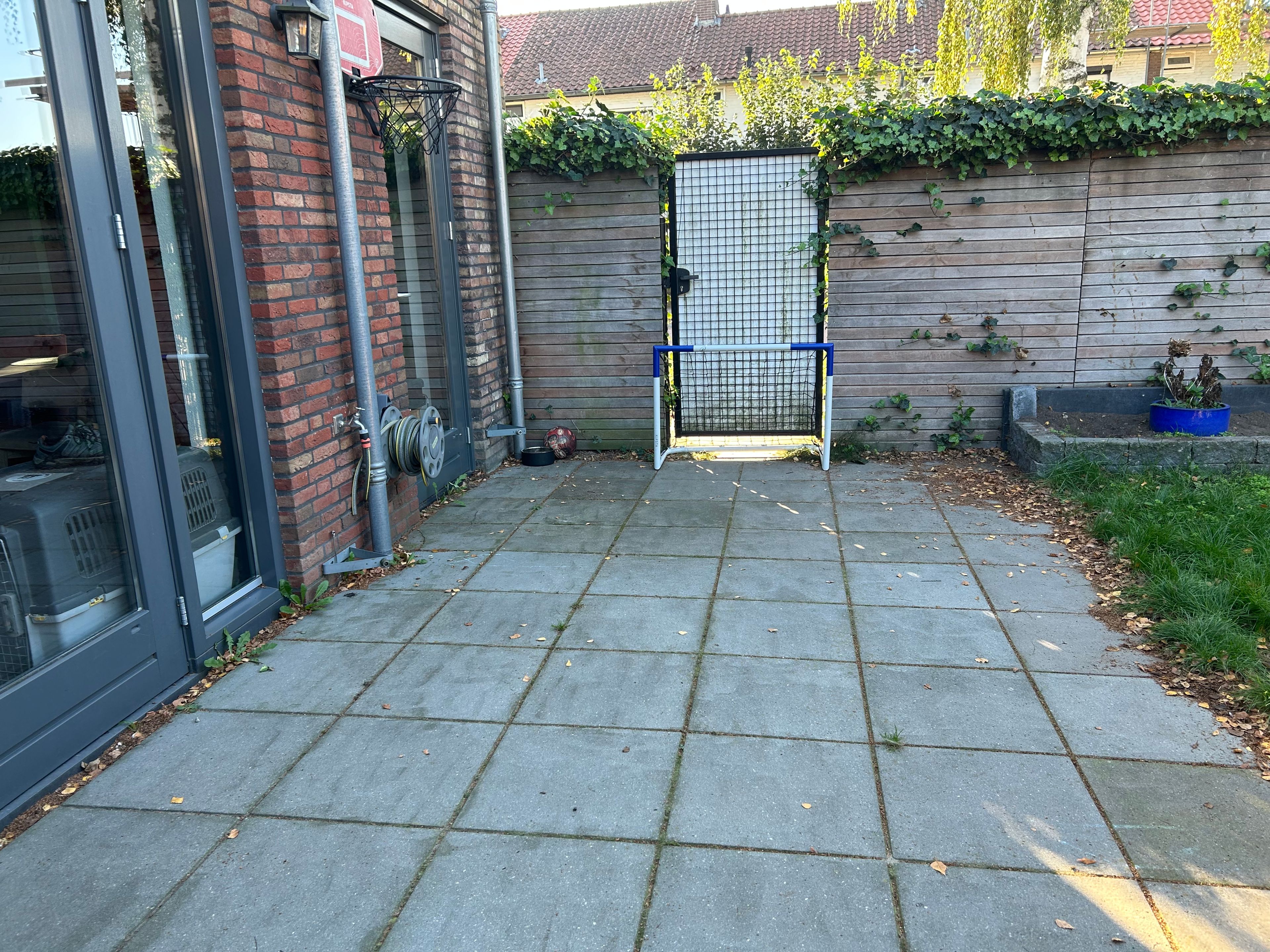 image-14