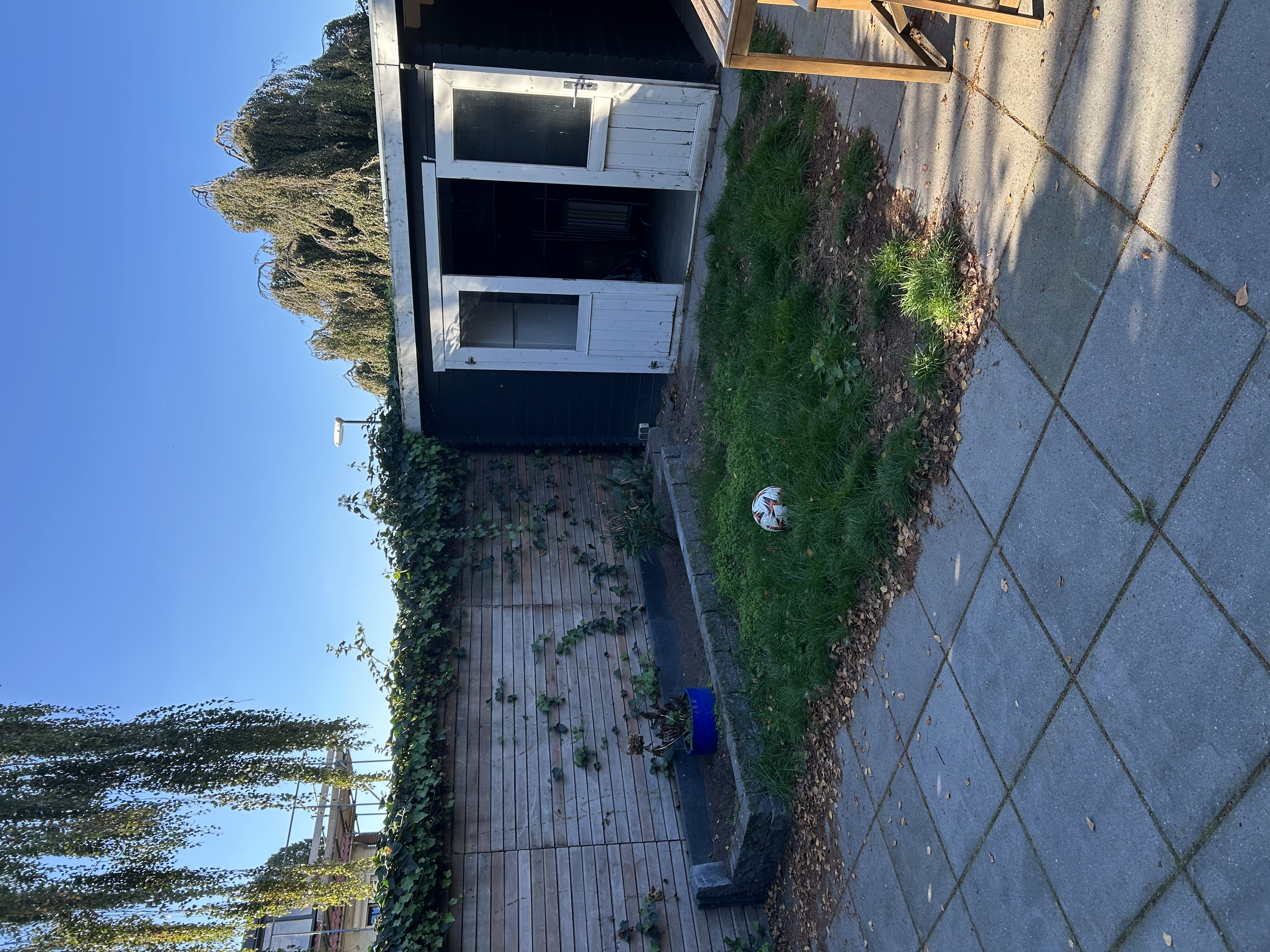 image-16