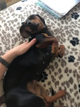 image-8