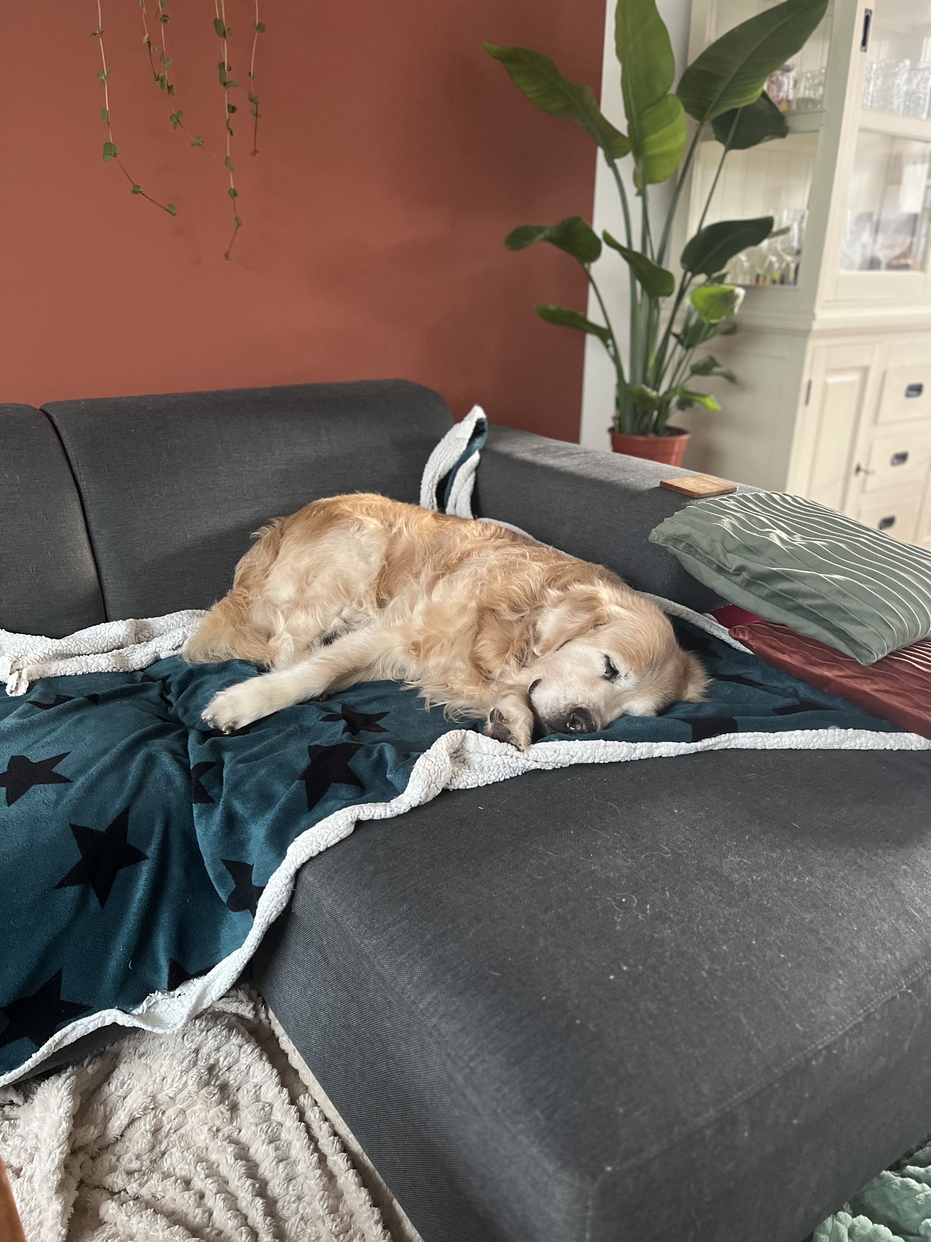image-17