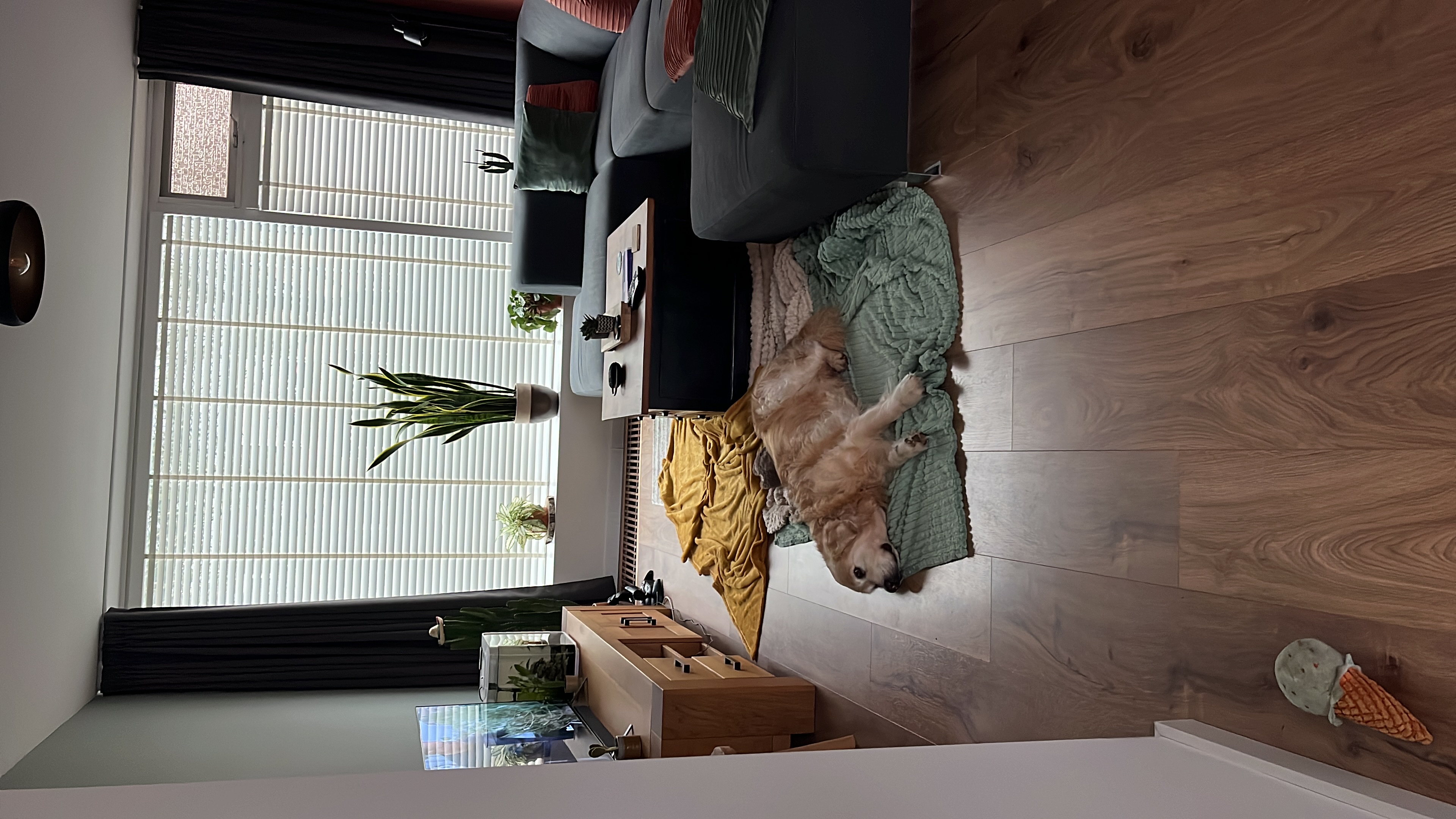 image-15