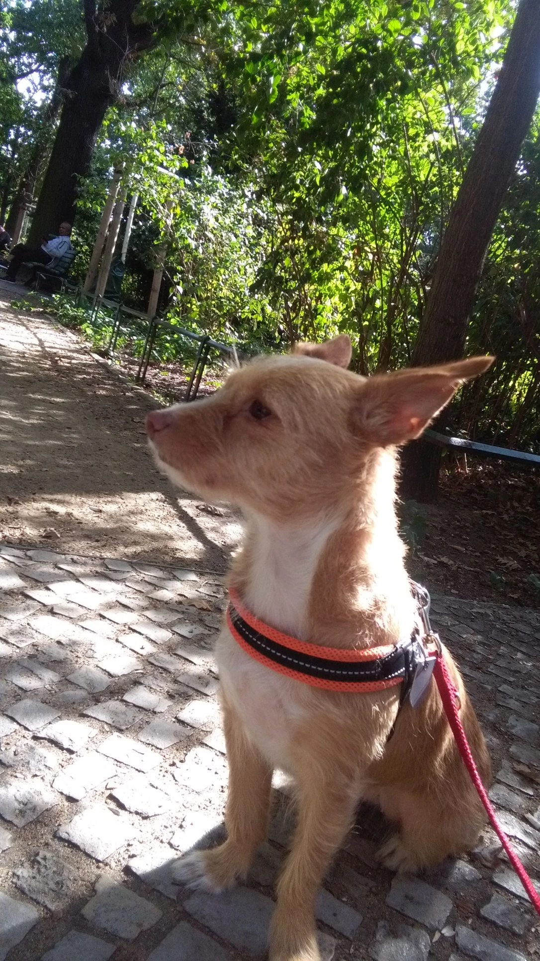 image-8