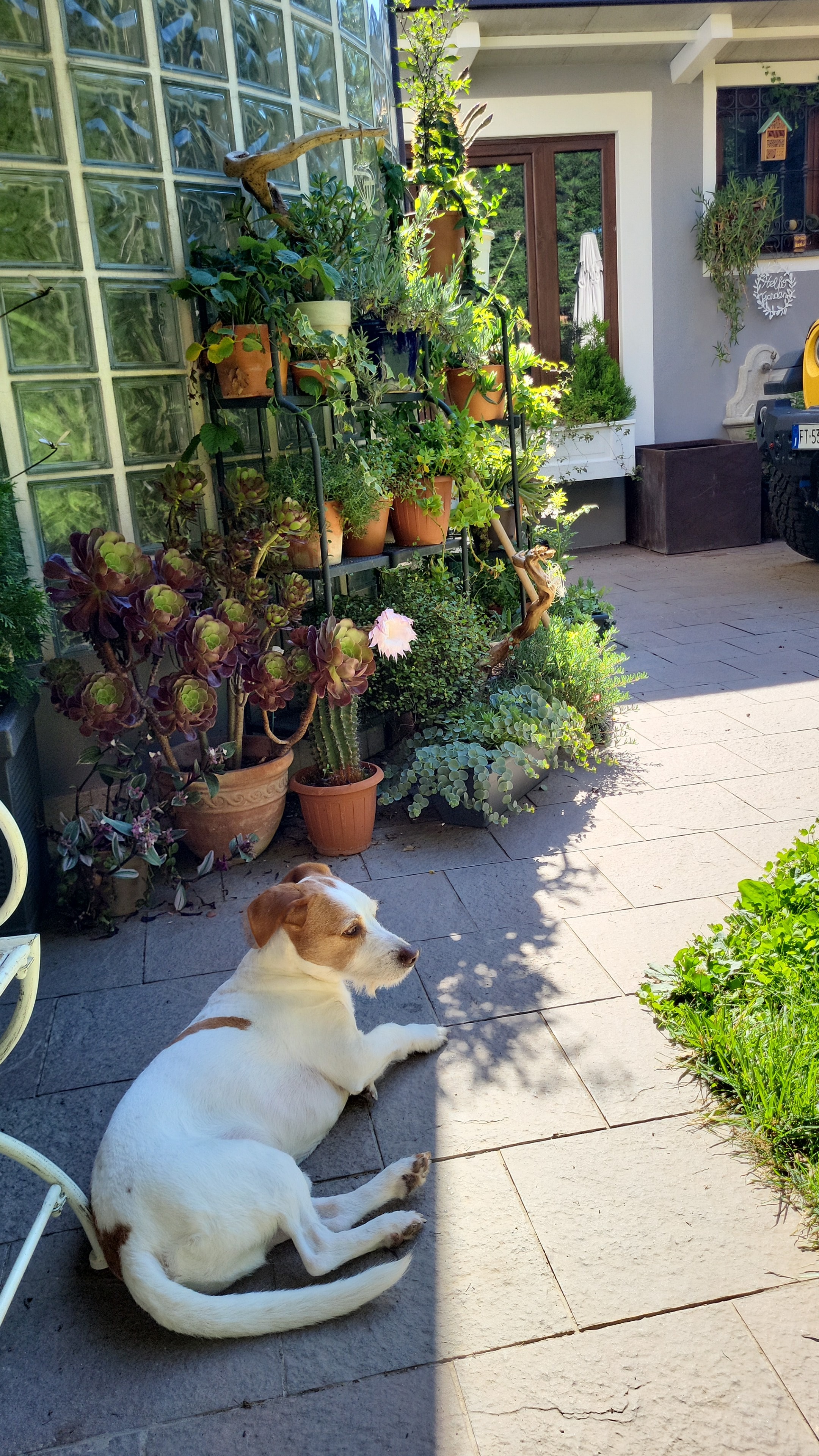 image-8